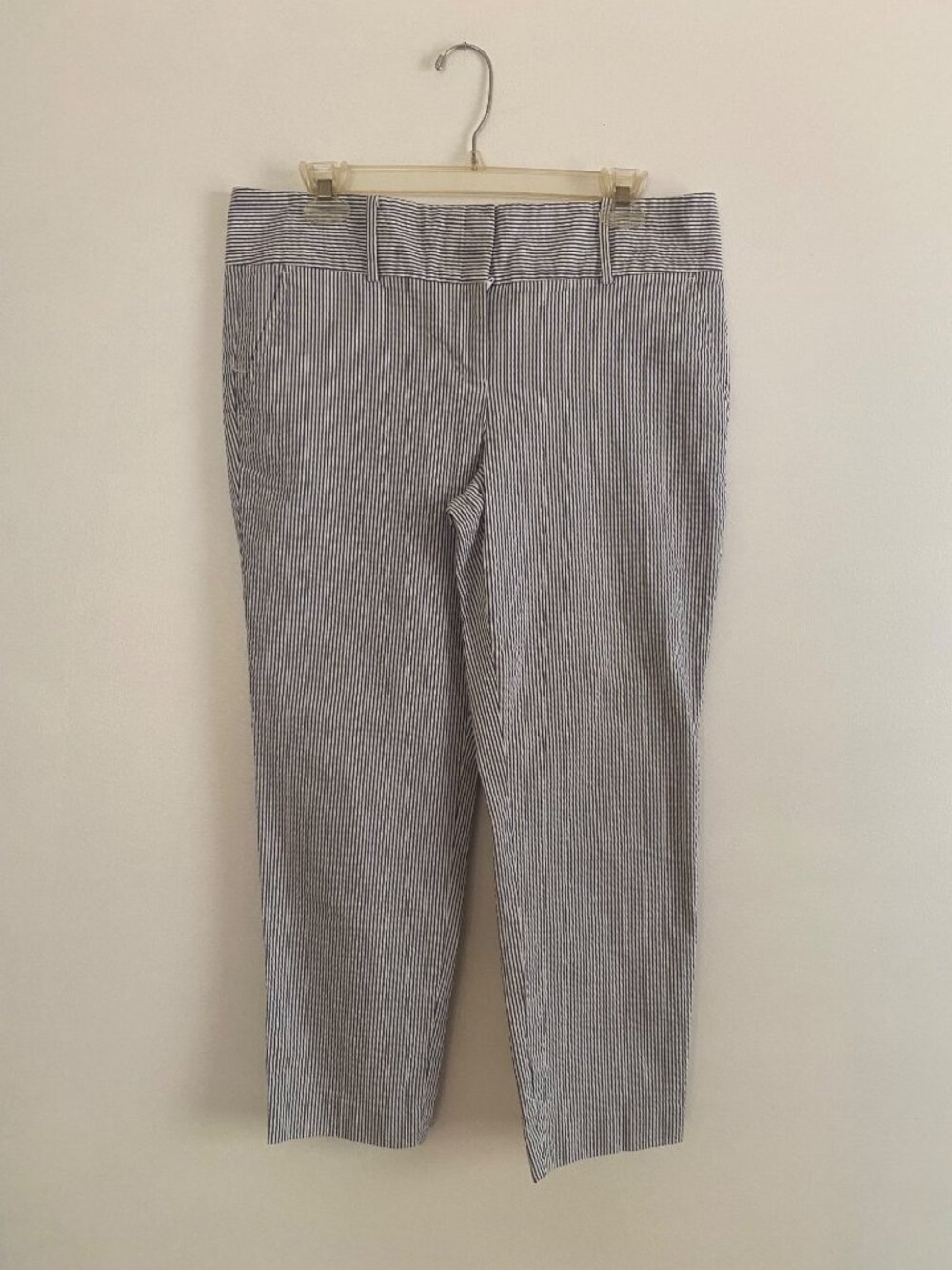 Ann Taylor Women's Blue & White Striped Ankle Pants Size 10